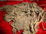 SRLK Herbals Supplement why us